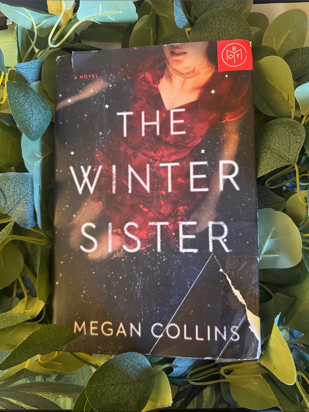 The Winter Sister by Megan Collins